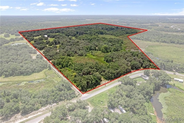 8700 E Matthew Meadow Ct, Inverness, FL 34453 - photo 3
