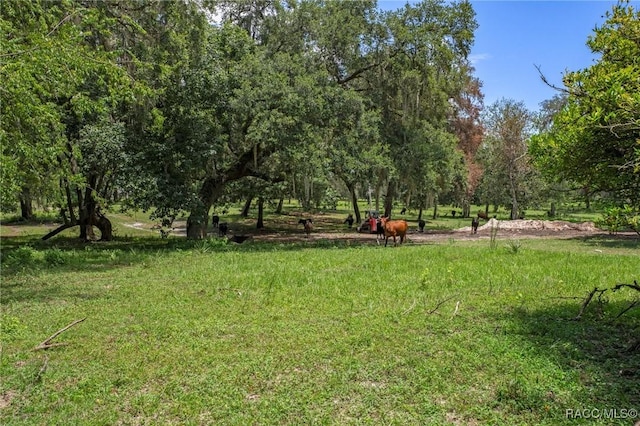 8700 E Matthew Meadow Ct, Inverness, FL 34453 - photo 84
