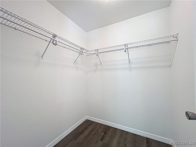22777 SW Beach Blvd, Dunnellon, FL 34431 - walk in closet featuring dark wood-type flooring