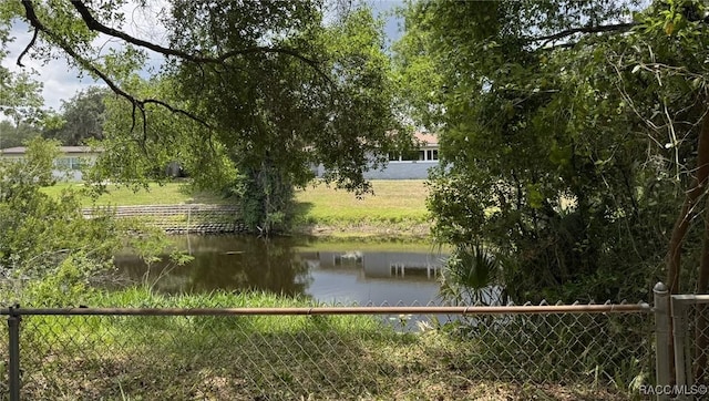 9616 E Gospel Island Rd, Inverness, FL 34450 - water view