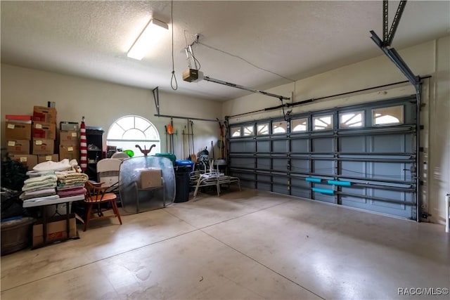 61 E Falconry Ct, Hernando, FL 34442 - garage featuring a garage door opener