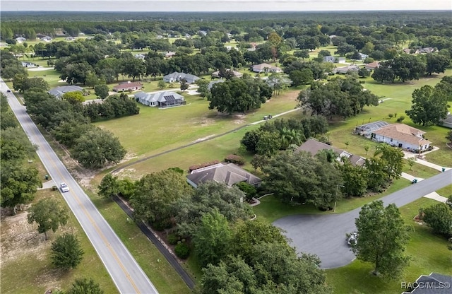 61 E Falconry Ct, Hernando, FL 34442 - aerial view of property's location featuring nearby suburban area