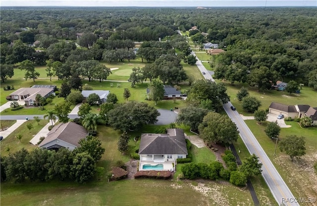 61 E Falconry Ct, Hernando, FL 34442 - aerial view of residential area with a forest