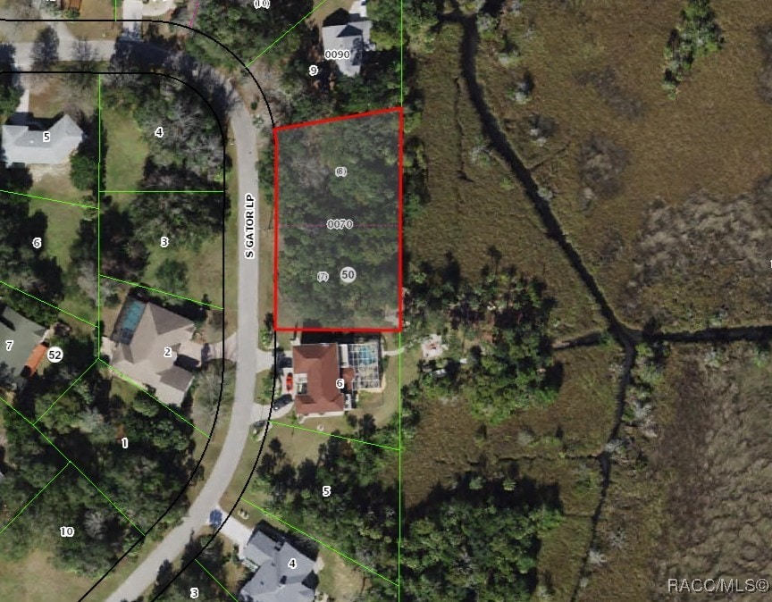 4655 S Gator Loop, Homosassa, FL 34448 - photo 1