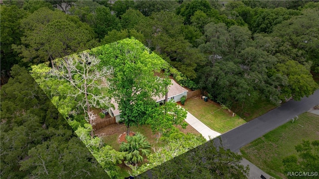 3331 SE 4th St, Ocala, FL 34471 - photo 35