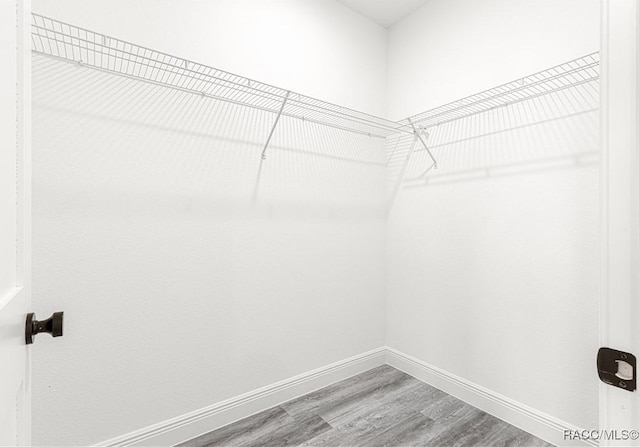 walk in closet with wood finished floors