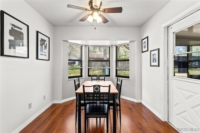 1420 E Silver Thorn Loop, Hernando, FL 34442 - dining area featuring a ceiling fan, dark wood-type flooring, baseboards, and a textured ceiling