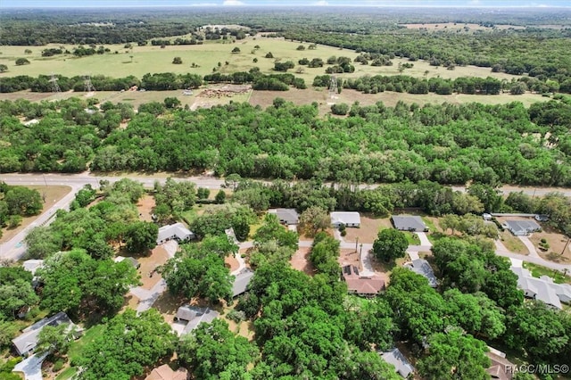 1420 E Silver Thorn Loop, Hernando, FL 34442 - aerial view