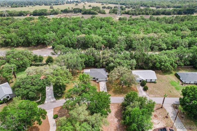 1420 E Silver Thorn Loop, Hernando, FL 34442 - drone / aerial view