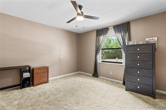 1420 E Silver Thorn Loop, Hernando, FL 34442 - unfurnished office with ceiling fan, carpet floors, baseboards, and a textured ceiling