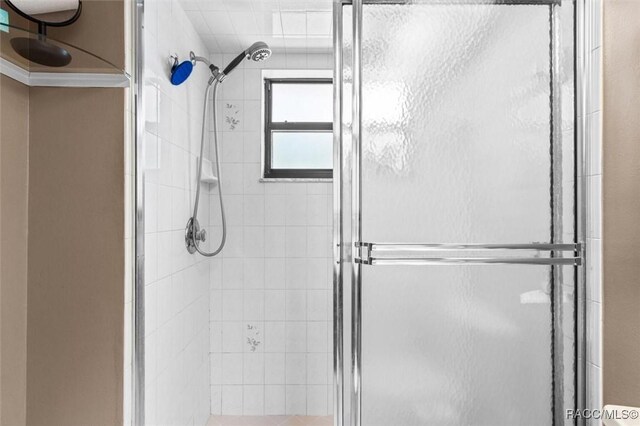 1420 E Silver Thorn Loop, Hernando, FL 34442 - bathroom featuring a stall shower