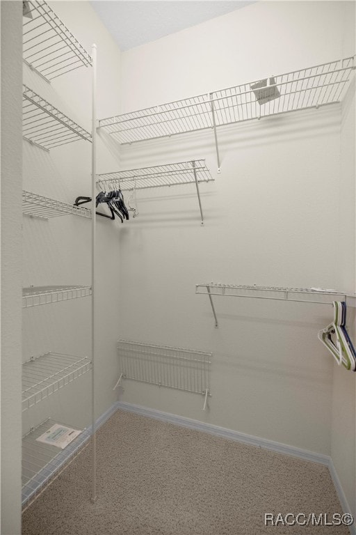 walk in closet featuring carpet flooring and radiator heating unit