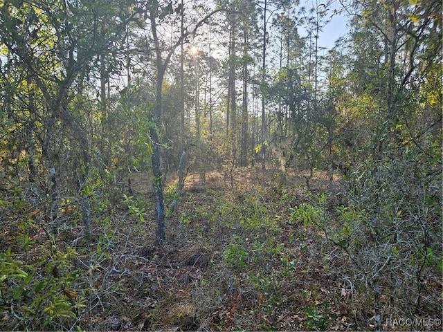 LOT28 NW Ridgewood Dr, Dunnellon, FL 34431