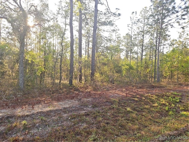 LOT28 NW Ridgewood Dr, Dunnellon, FL 34431