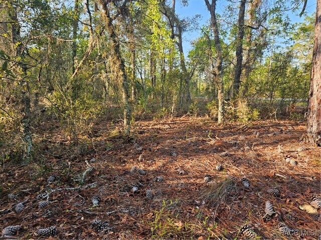 LOT28 NW Ridgewood Dr, Dunnellon, FL 34431