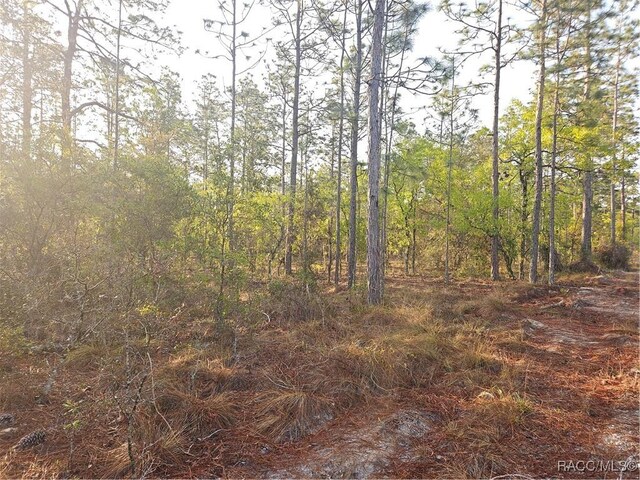 LOT28 NW Ridgewood Dr, Dunnellon, FL 34431