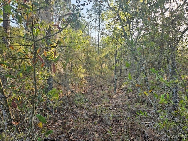 LOT28 NW Ridgewood Dr, Dunnellon, FL 34431