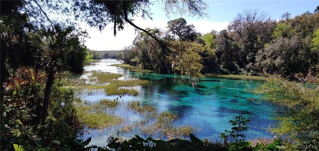 LOT28 NW Ridgewood Dr, Dunnellon, FL 34431