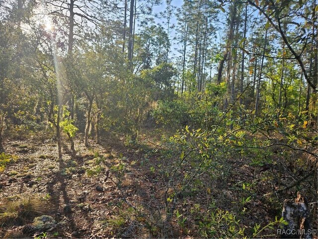LOT28 NW Ridgewood Dr, Dunnellon, FL 34431