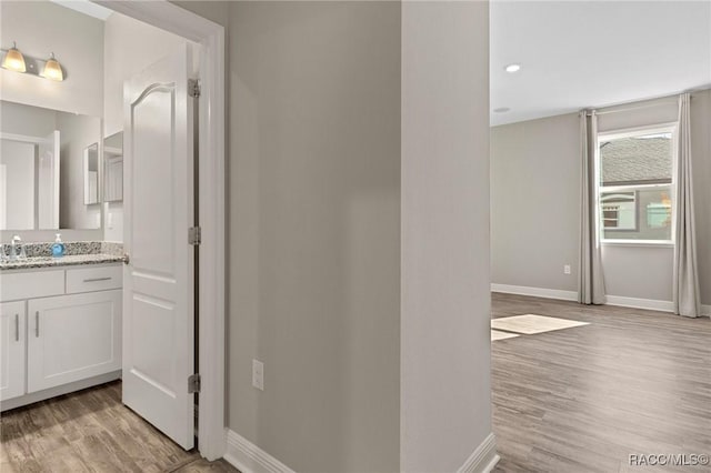 bathroom with hardwood / wood-style flooring and vanity