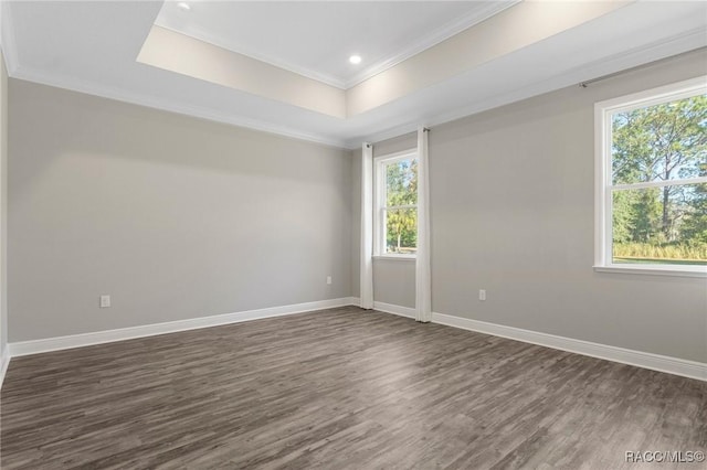 spare room with a tray ceiling, crown molding, a healthy amount of sunlight, and dark hardwood / wood-style floors