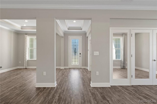 entrance foyer featuring a raised ceiling, dark wood-type flooring, and ornamental molding