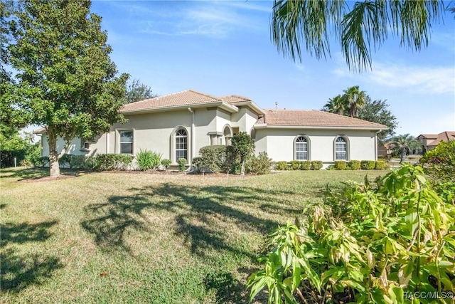 rear view of house featuring a yard