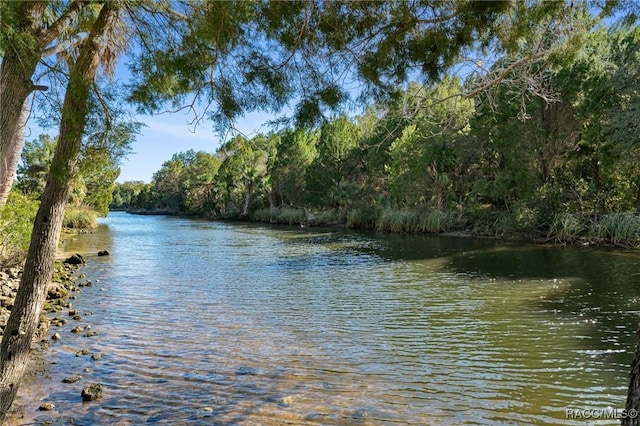 water view with a view of trees