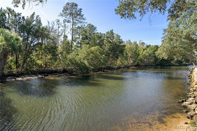 property view of water featuring a wooded view