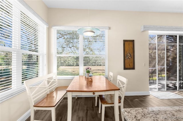 dining room featuring hardwood / wood-style floors