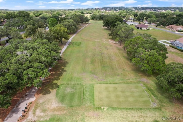 aerial view