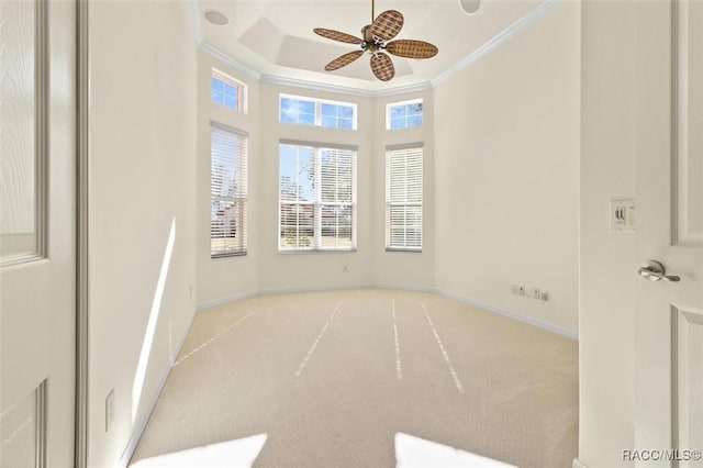 carpeted spare room featuring ceiling fan and crown molding