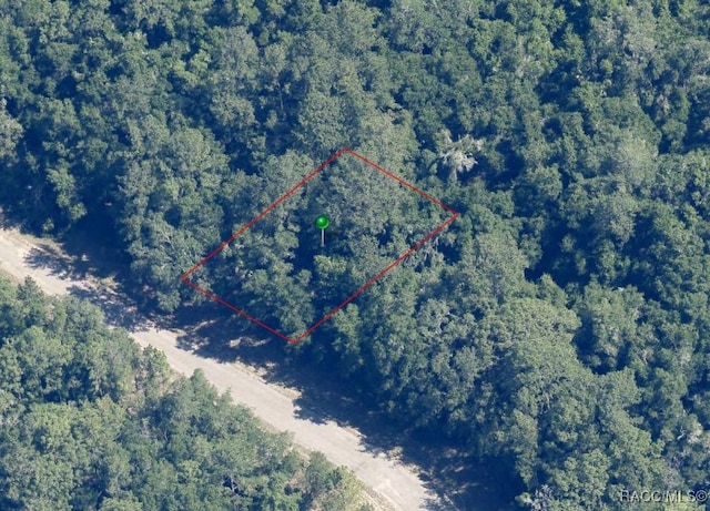 863 E Elston Pl, Dunnellon, FL 34434 - photo 2