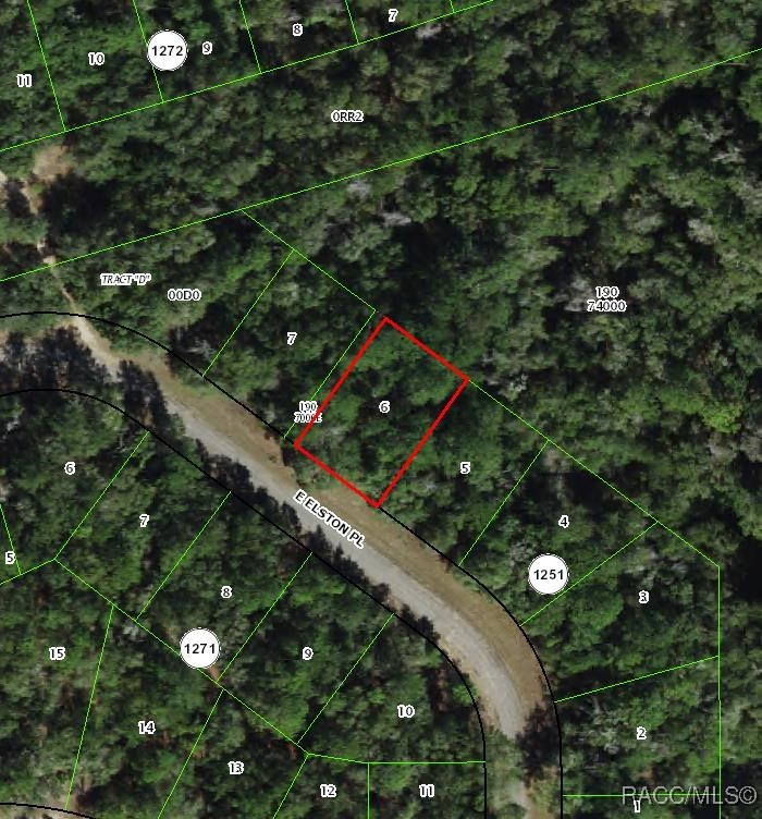 863 E Elston Pl, Dunnellon, FL 34434 - photo 1