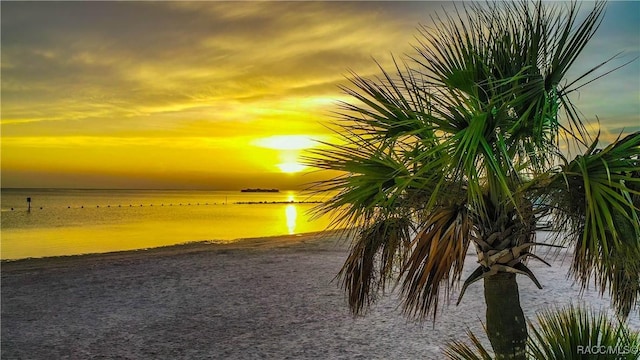 water view with nearby beach