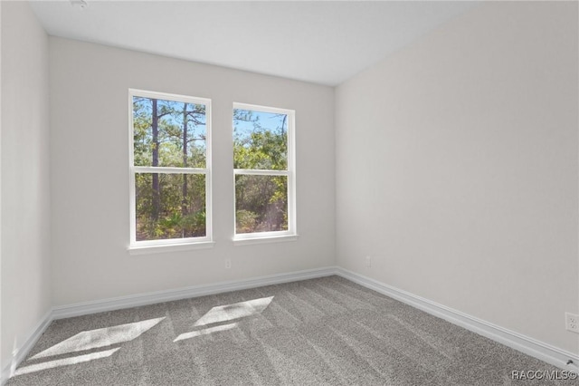 6167 W Rio Grande Dr, Beverly Hills, FL 34465 - photo 19