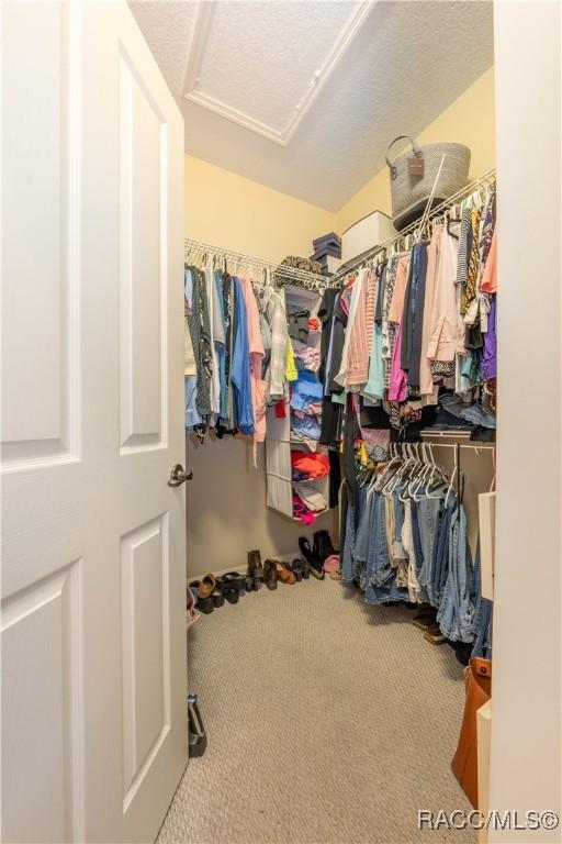 spacious closet featuring carpet floors