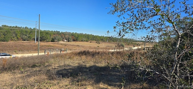 5538 W Amman St, Dunnellon FL, 34433 land for sale