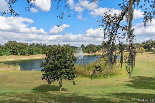 view of water feature