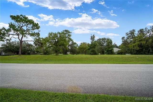 Listing photo 3 for 3577 N Pine Valley Loop, Lecanto FL 34461