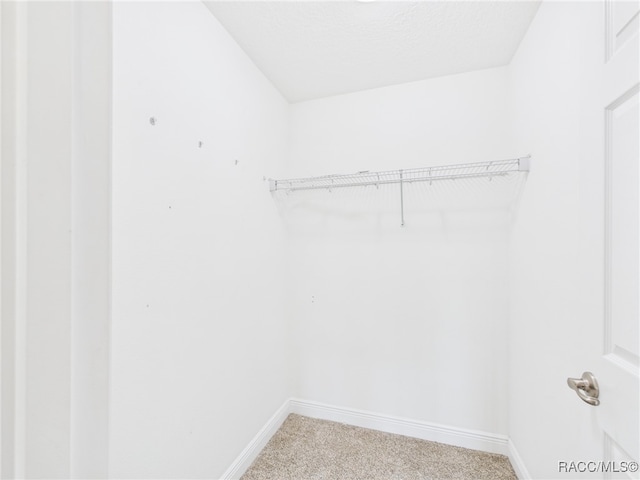 1899 W Oliver Dr, Citrus Springs, FL 34434 - walk in closet with carpet