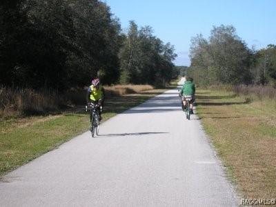 340 E Glassboro Ct Unit 19-5A, Hernando, FL 34442 - view of street