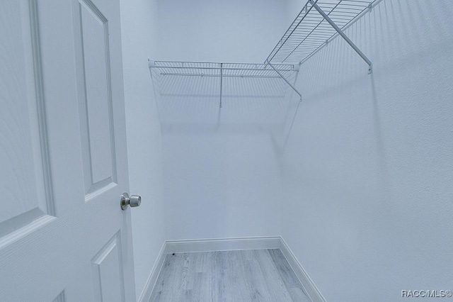 walk in closet featuring light wood-type flooring