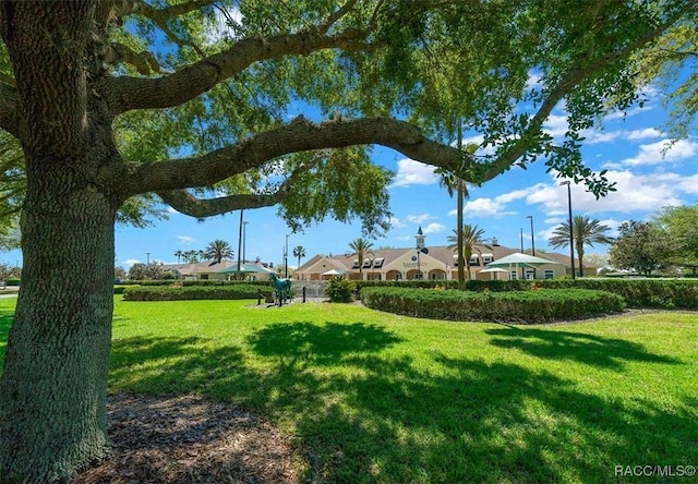 15776 SW 11th Terrace Rd, Ocala, FL 34473 - photo 56