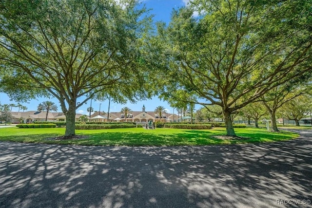 15776 SW 11th Terrace Rd, Ocala, FL 34473 - photo 55