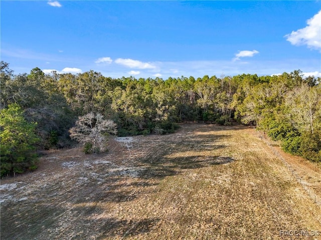 view of local wilderness