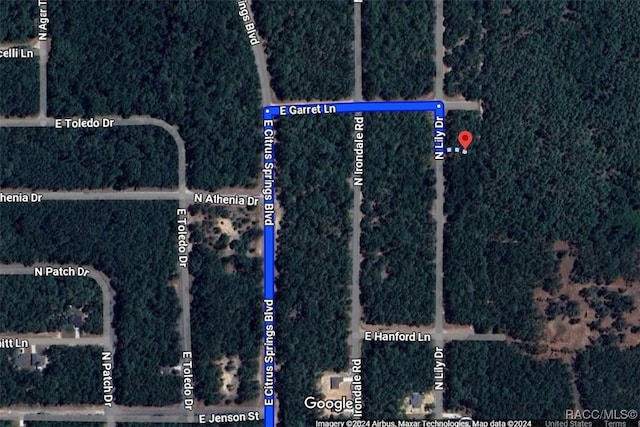 9289 N Lily Dr, Citrus Springs FL, 34434 land for sale