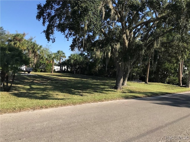 10741 W Pine Bark Ln, Crystal River, FL 34429 - view of asphalt road