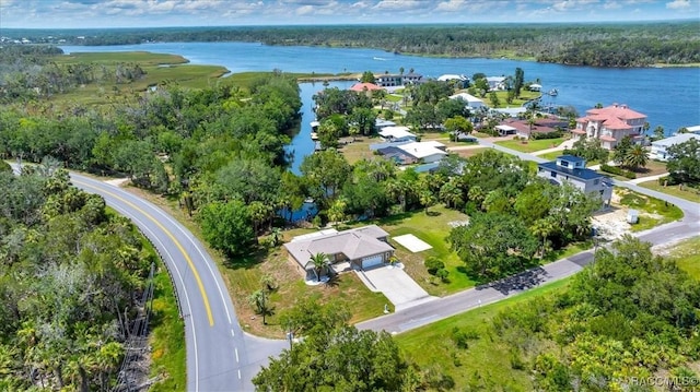 10741 W Pine Bark Ln, Crystal River, FL 34429 - bird's eye view of a large body of water