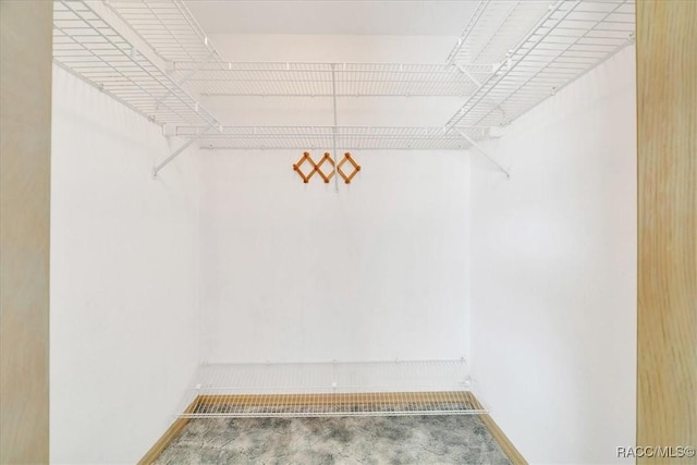 10741 W Pine Bark Ln, Crystal River, FL 34429 - view of spacious closet